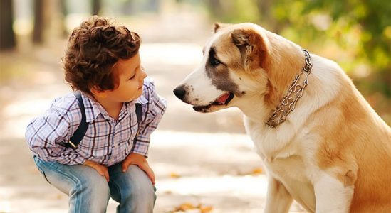 Kid facing the dog
