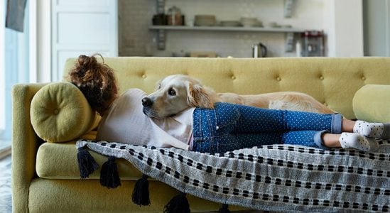 Sleeping woman while dog leaning on her
