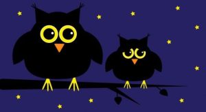 Illustration of an owl and its baby