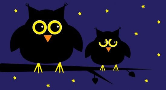 Illustration of an owl and its baby