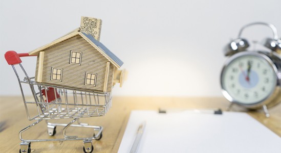 Toy house model in a shopping cart