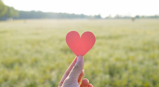 Paper heart