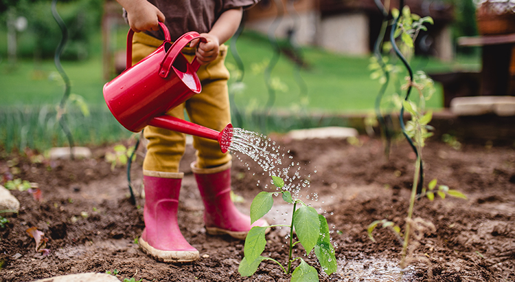 A little toddler in the garden, watering plants with can.