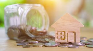 House model and money