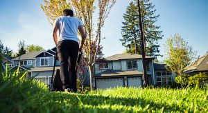 Young man mowing the lawn.