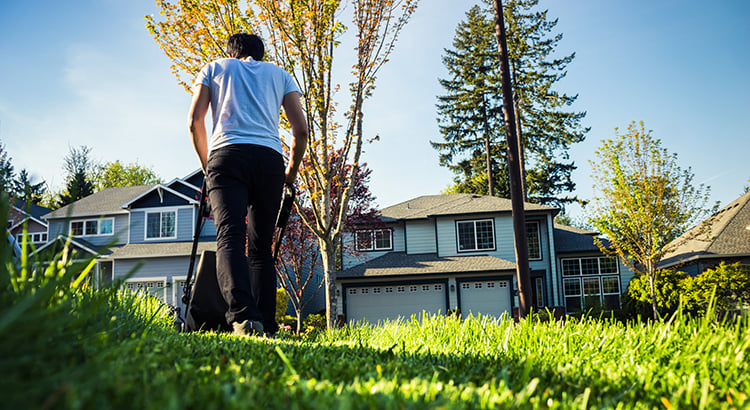 Young man mowing the lawn.
