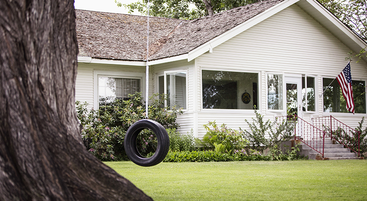 Tire swing hanging in backyard